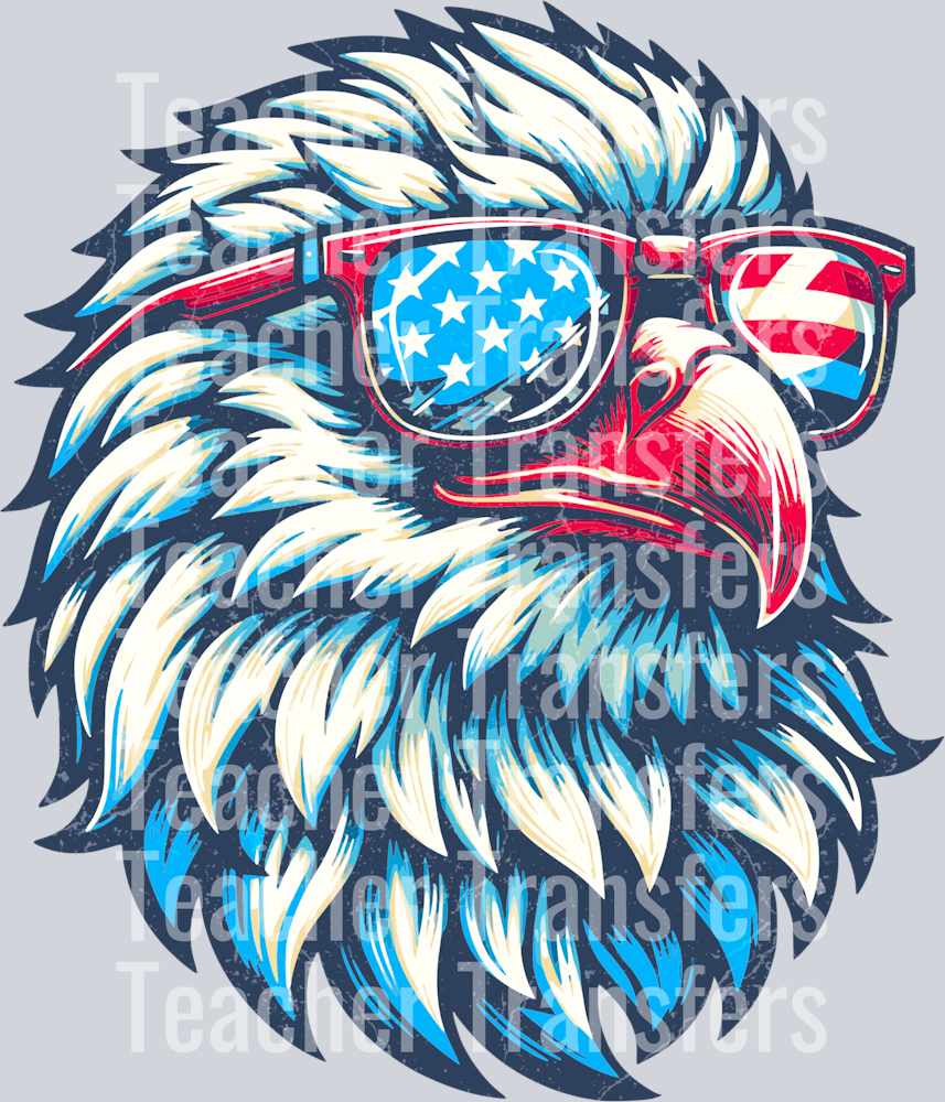 Vintage eagle freedom