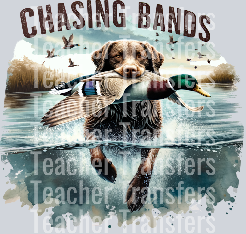 chasingbandlab