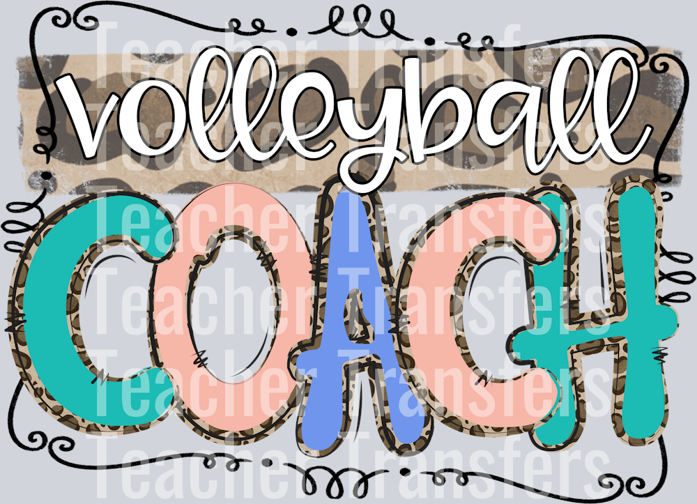 Volleyball Coach