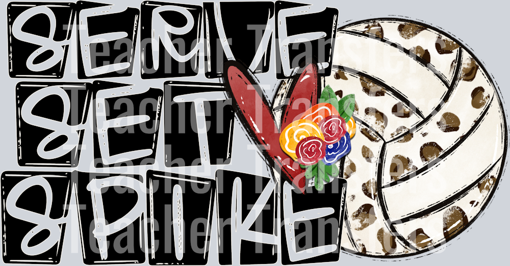 Serve Set Spike Volleyball