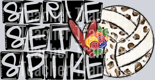 Serve Set Spike Volleyball