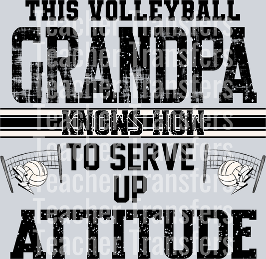 This Volleyball Grandpa Knows How To Serve Up Attitude