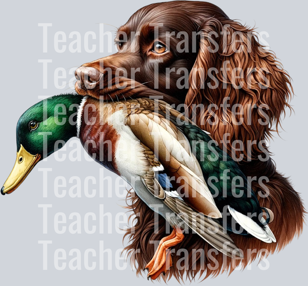 BoykinDuck1-CedarGroveGraphics