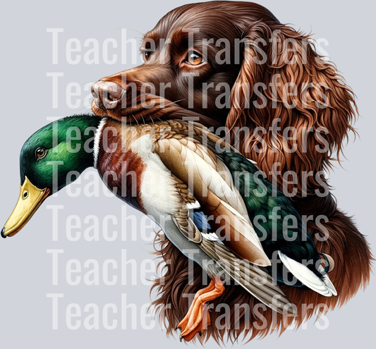 BoykinDuck1-CedarGroveGraphics