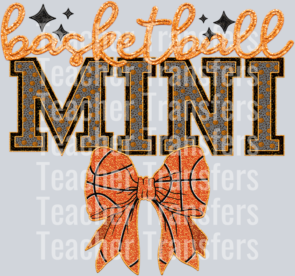 basketball MINI HWDS