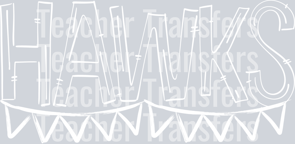 SKETCHY DOODLE HAWKS