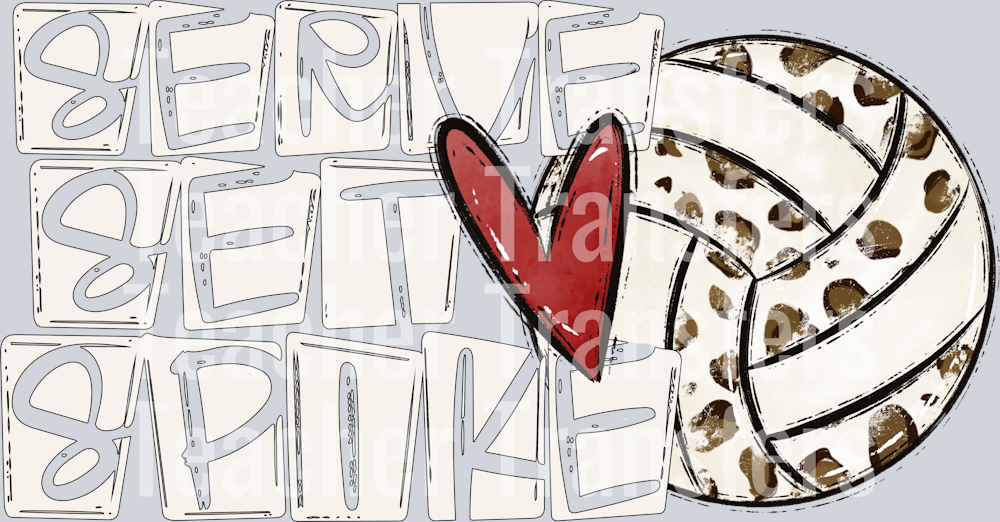 Serve Set Spike Volleyball NO FLOWERS