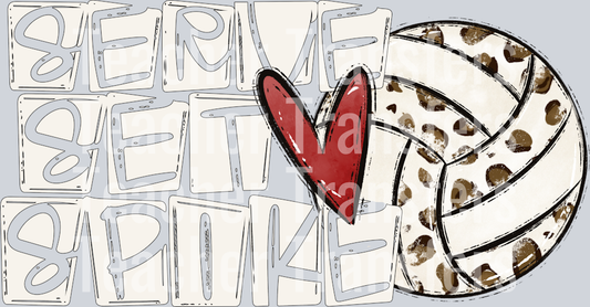 Serve Set Spike Volleyball NO FLOWERS