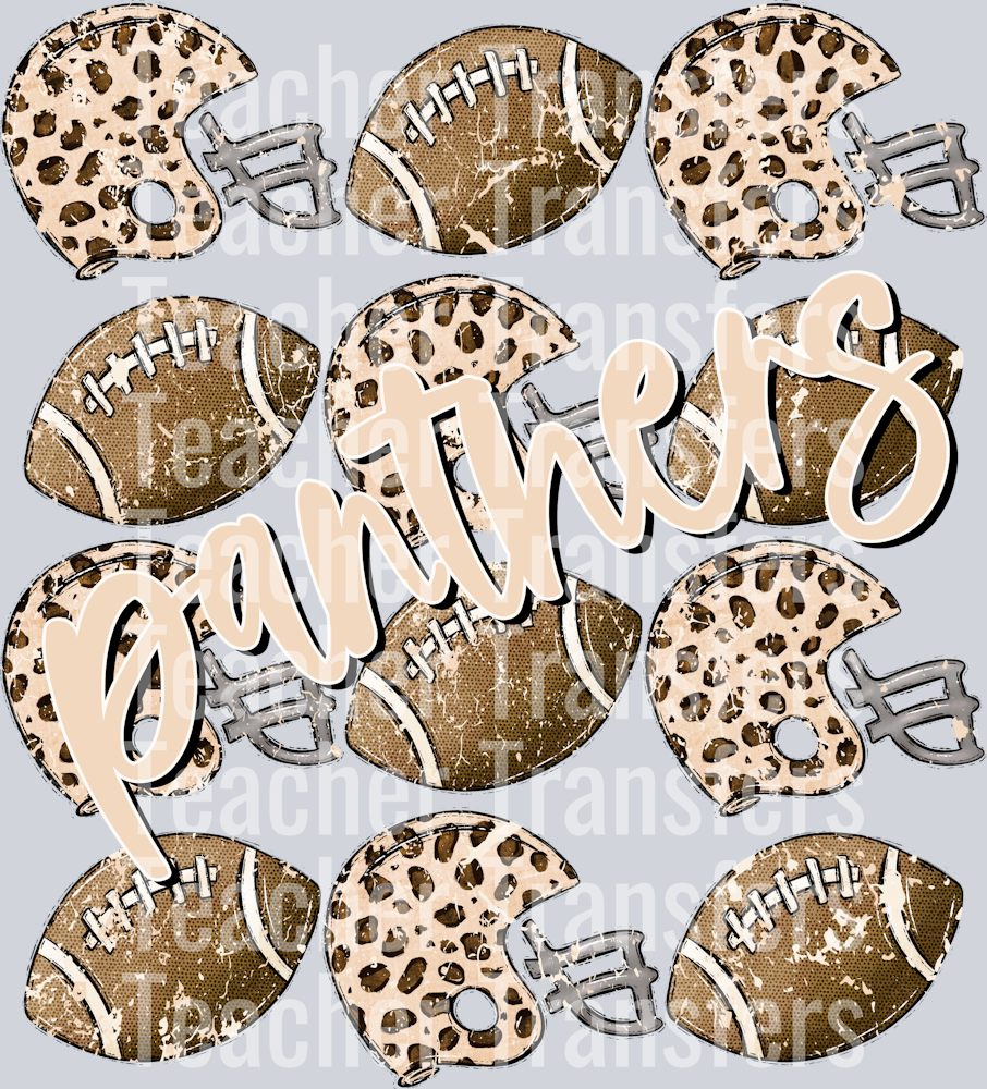 Footballs and Helmets PANTHERS