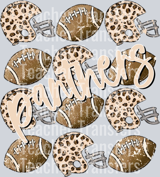 Footballs and Helmets PANTHERS