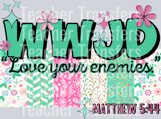 WWJD love your enemies HWDS