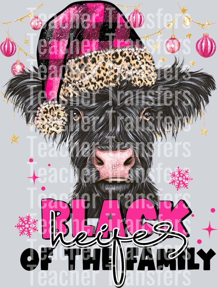 Black heifer