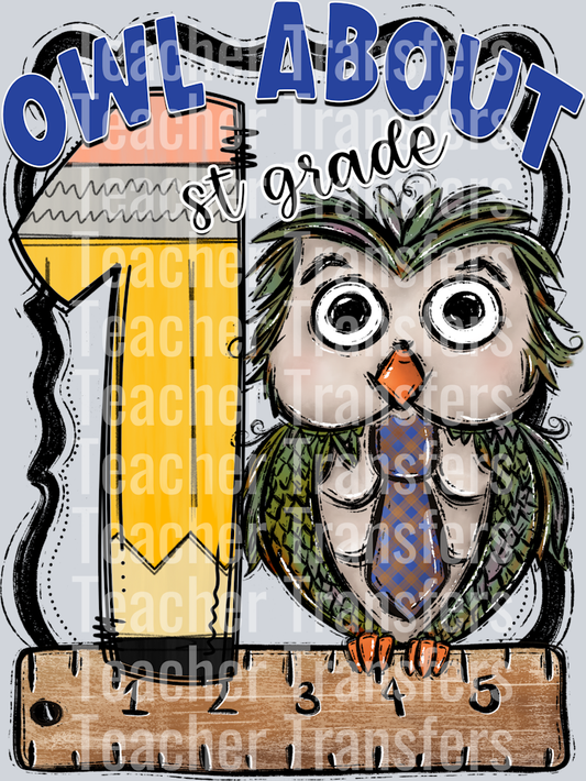 Owl About BLUE FIRST GRADE