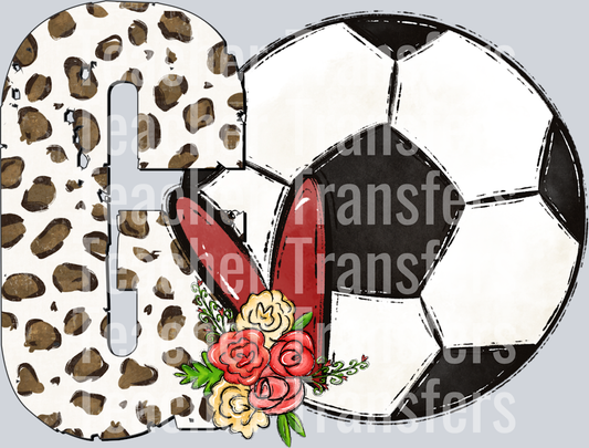 GO Soccer(1)