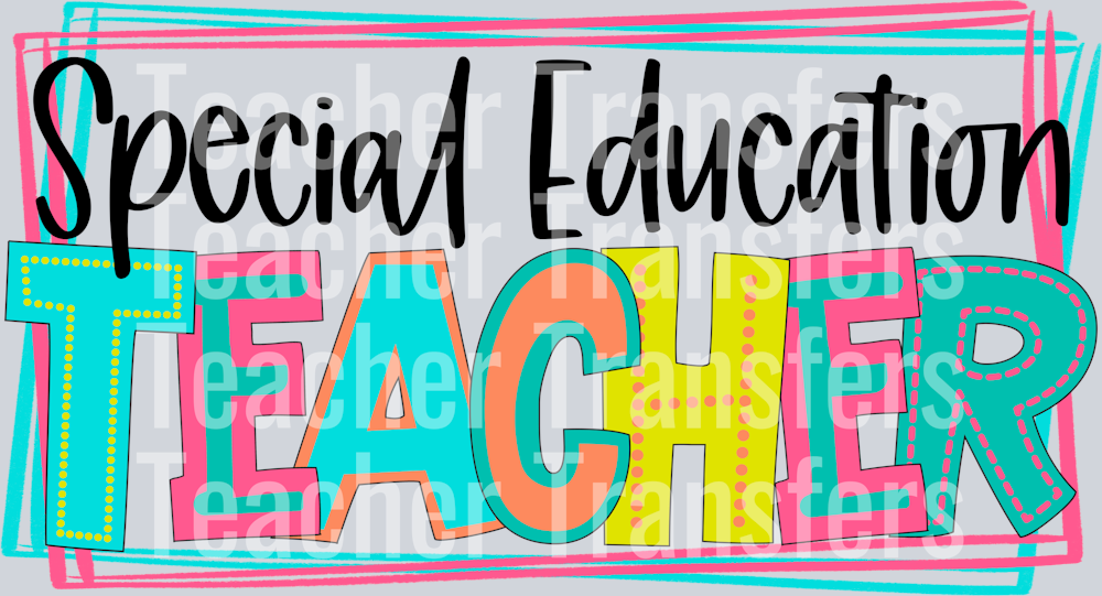 Special Education Teacher