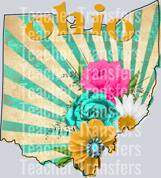 Vintage States OHIO
