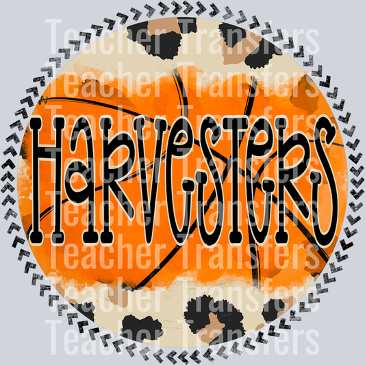 LeopardBasketballHarvesters