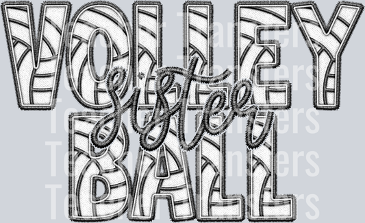 FauxVolleyballSister