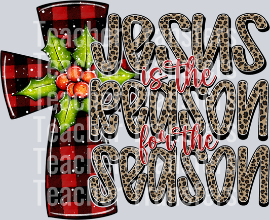 Reason For The Season