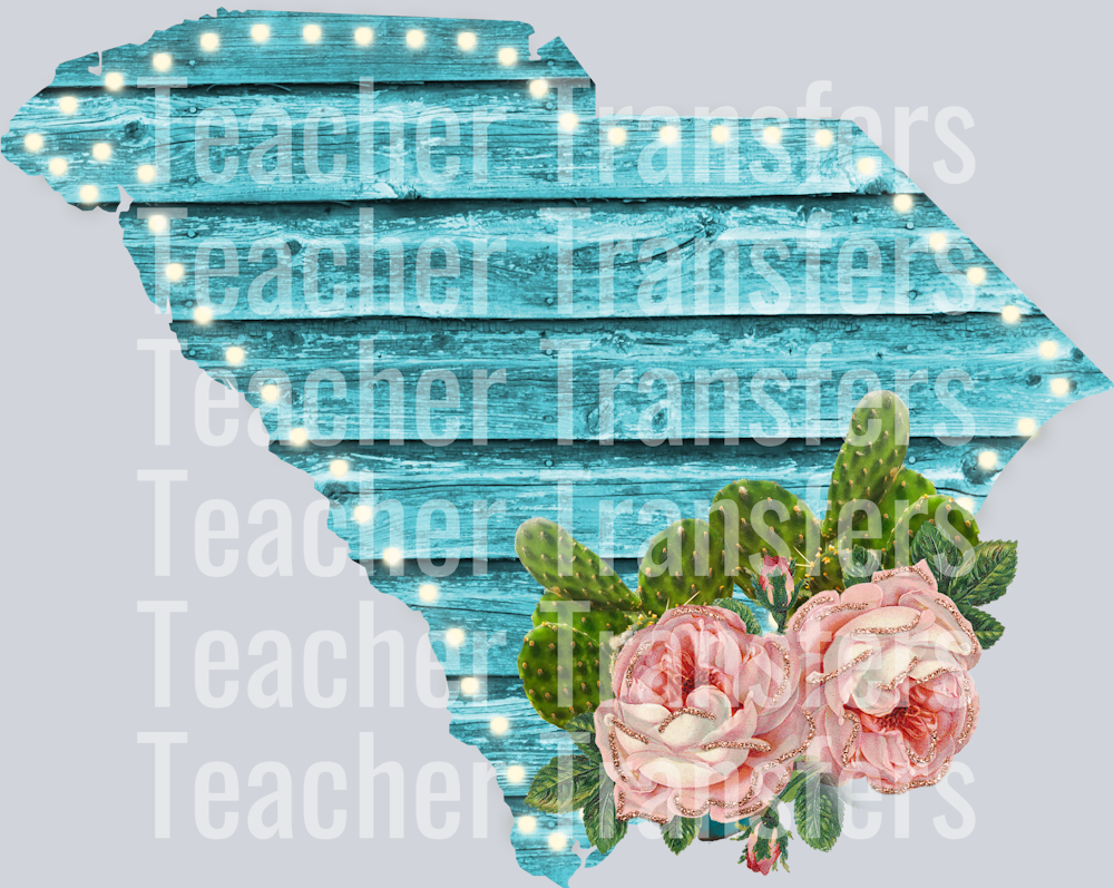 South Carolina Lights