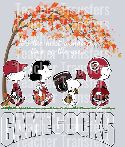 Gamecocks its the most wonderful time of the year