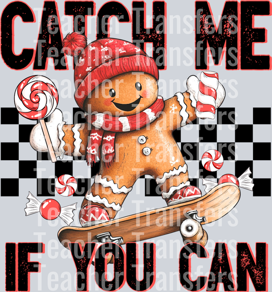 CatchMeifYouCan