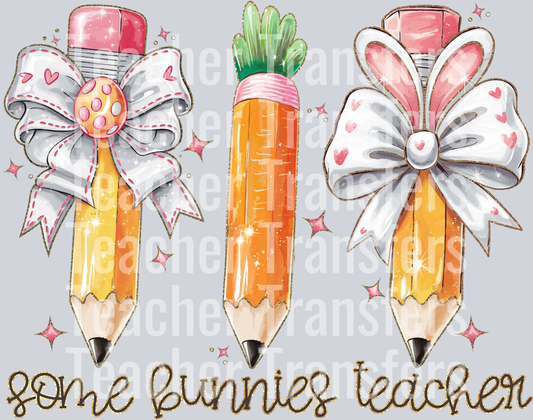 Some bunnies teacher