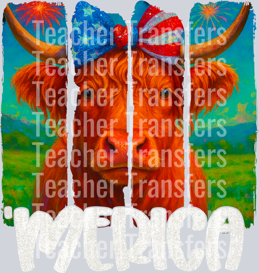 Mericahighlandcow