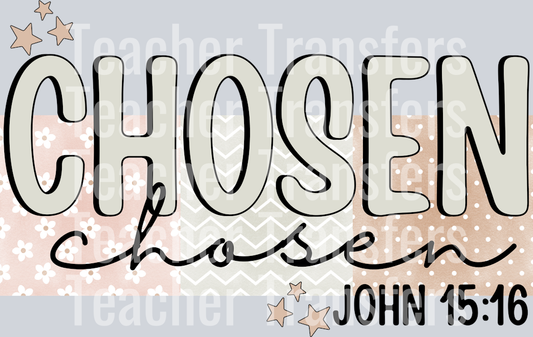 Chosen HWDS
