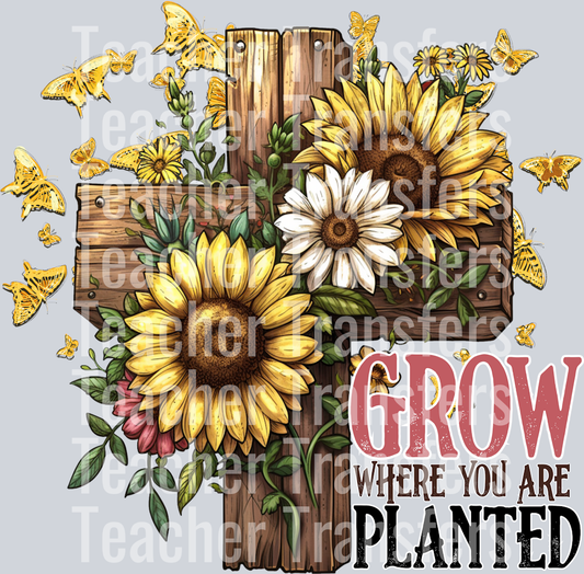 Grow where you are planted_