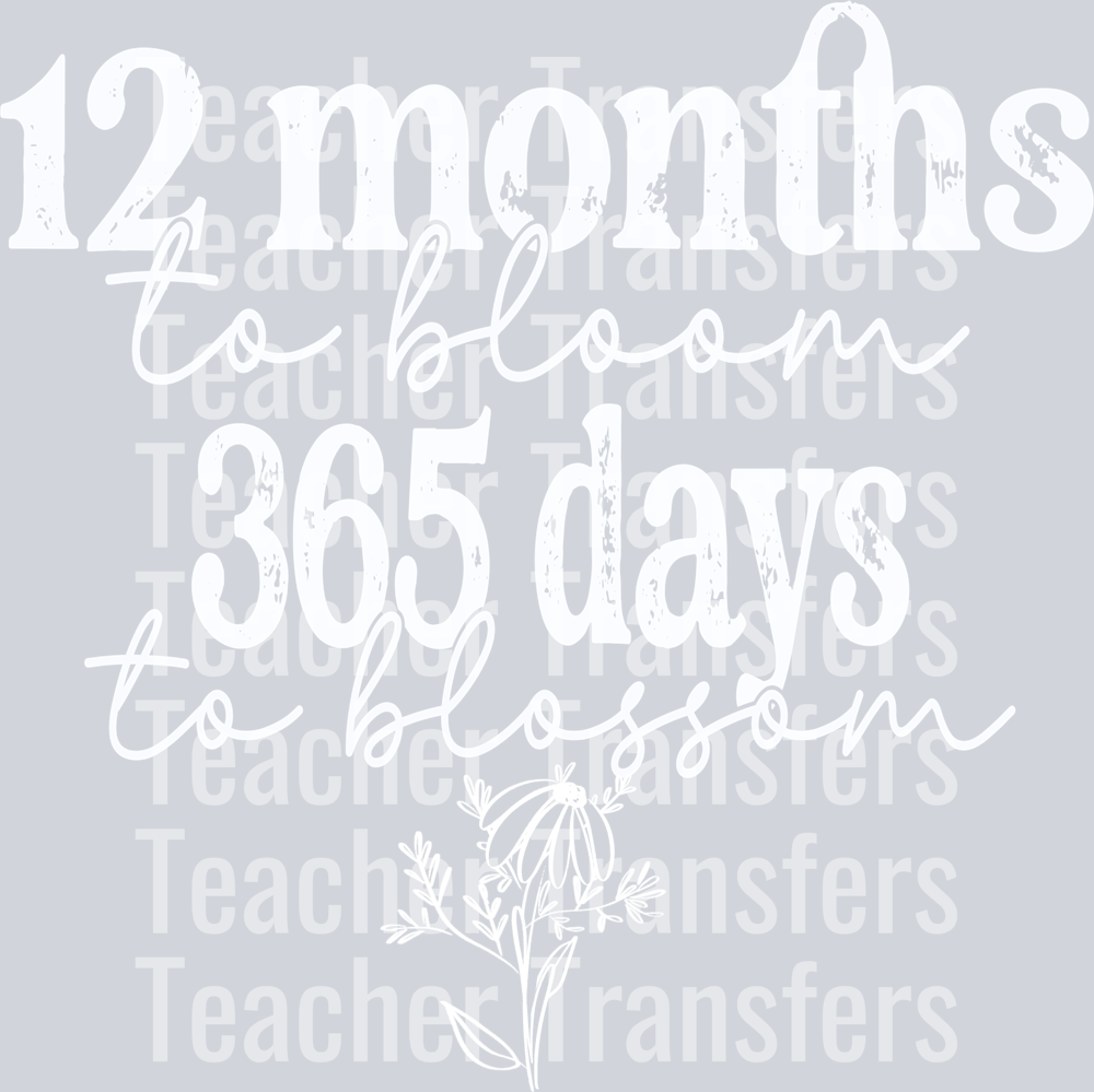 12MonthstoBloomWhite