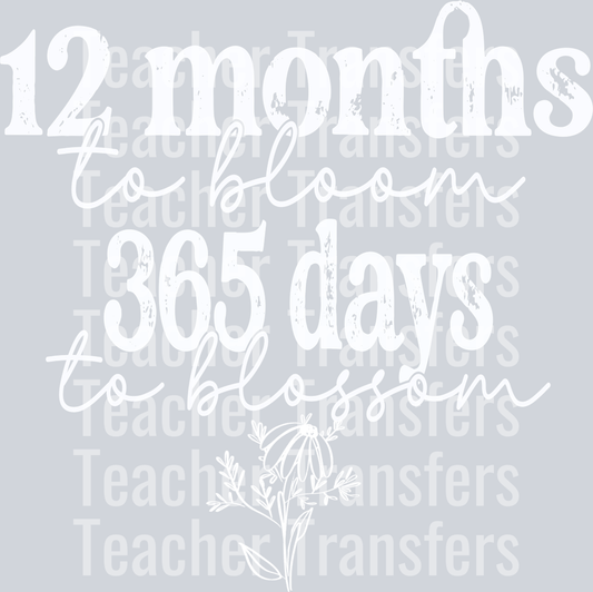 12MonthstoBloomWhite