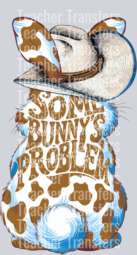 Some bunny’s problem