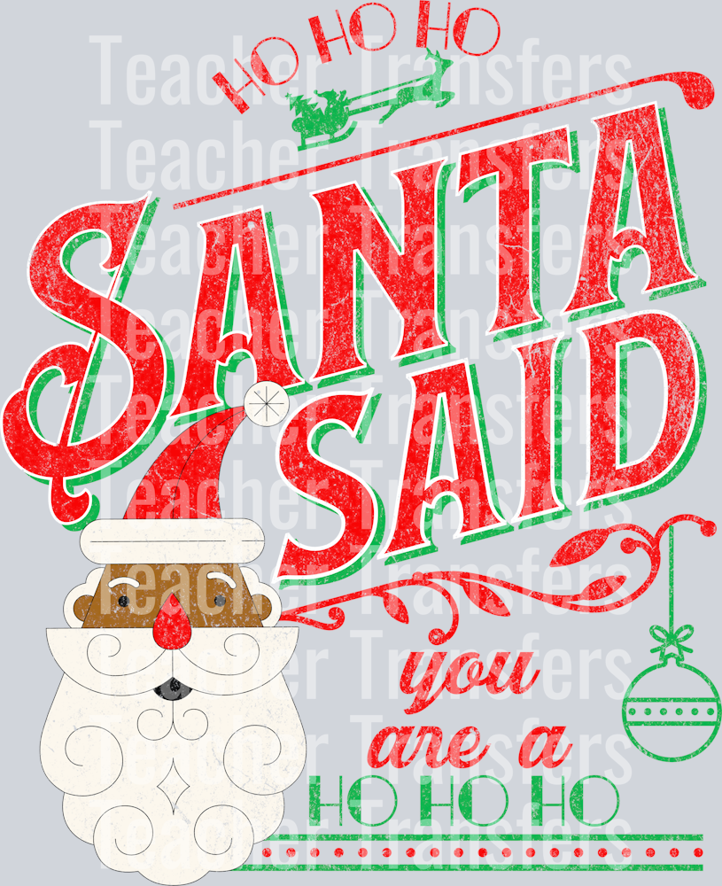 santa said you are a ho ho ho 2 HWDS