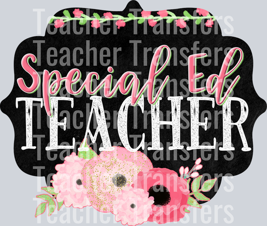 Special Ed Teacher(1)