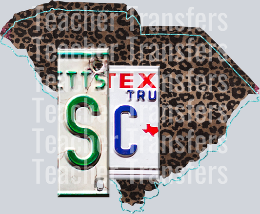 License Plates Initial States SOUTH CAROLINA
