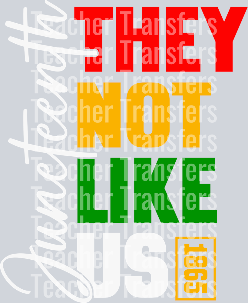 Juneteenth They Not Like Us-01