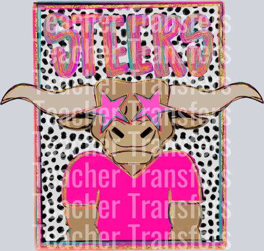 Steers 2