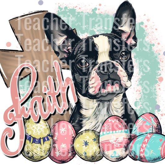 Faith Boston terrier_