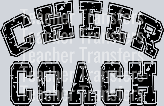 Cheer Coach(2)