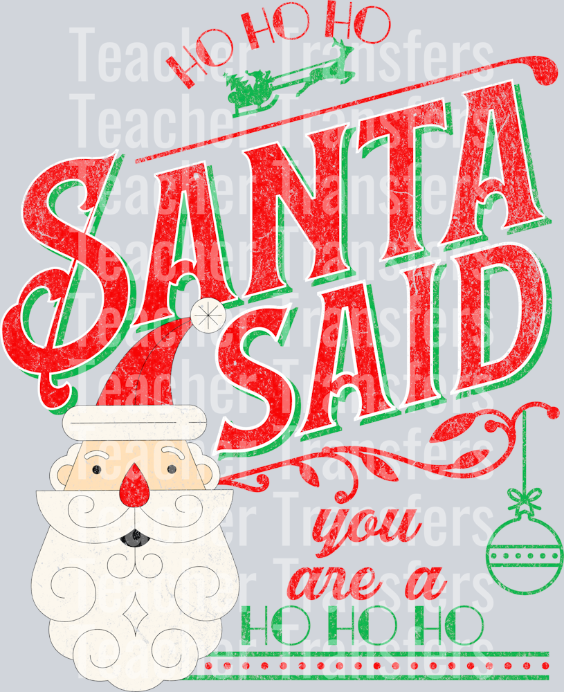 santa said you are a ho ho ho 1 HWDS