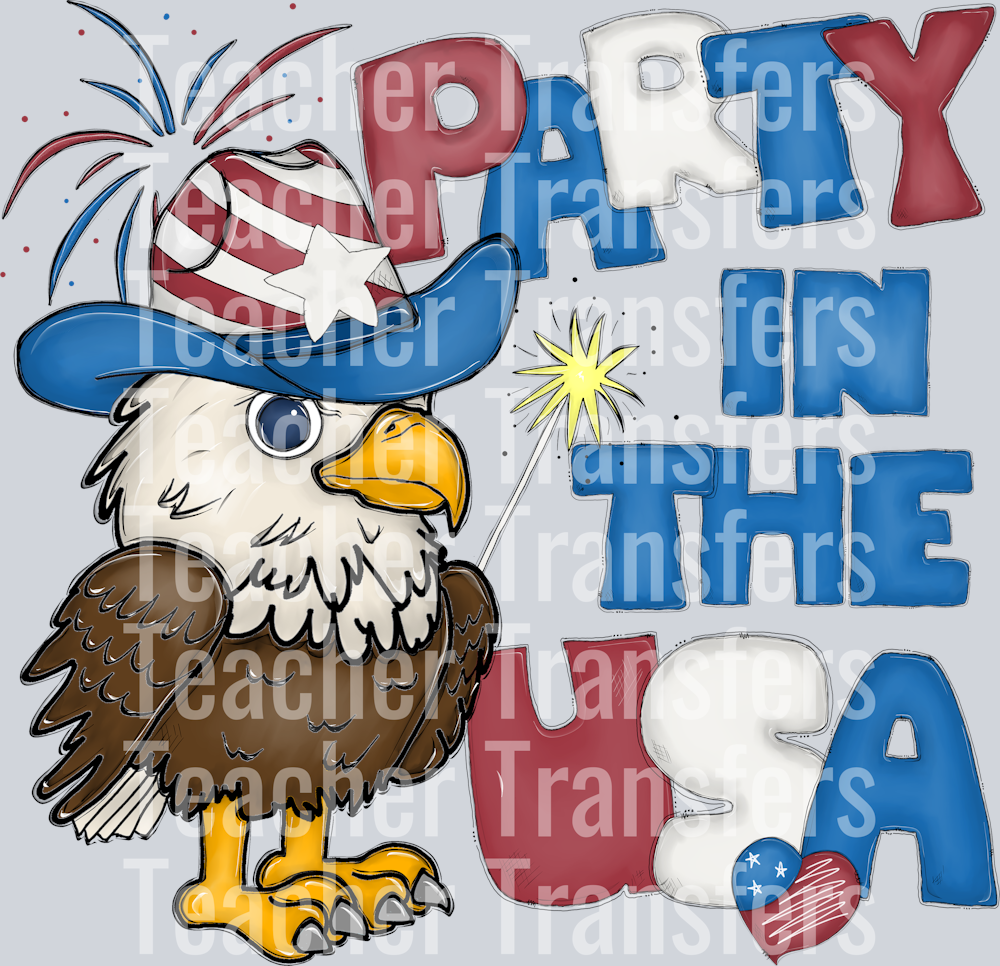 Party in the USA