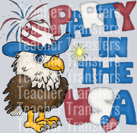 Party in the USA