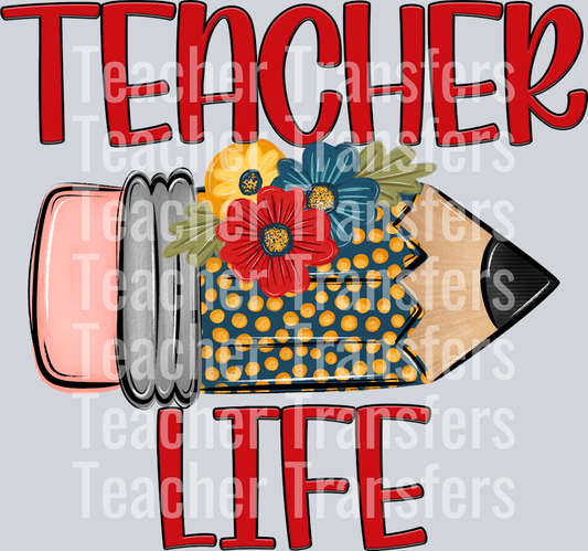 TEACHER LIFE1