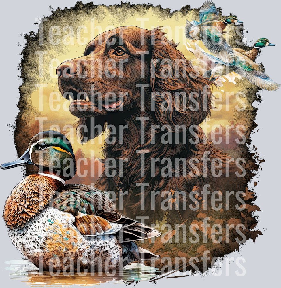 BoykinVintage2-CedarGroveGraphics